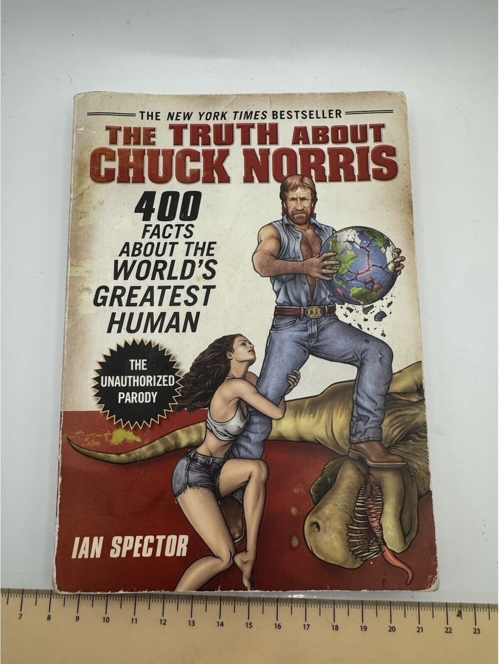 Truth about Chuck Norris : 400 Facts about the World's Greatest Human